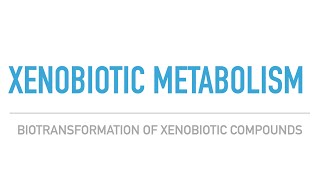 Xenobiotic MetabolismCYP450 Enzyme MechanismDetoxification in the Liver [upl. by Kcirrej]