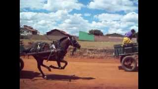 12ª Corrida de Carroça de Aparecida De Goiânia [upl. by Neyugn85]