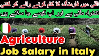 Agriculture Jobs Salary in Italy  Italy work permit  seasonal visa job in Italy  Italian seasonal [upl. by Ssalguod]