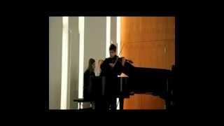 Introduction and Tarantella  Sarasate by Julian Walder 11 [upl. by Viridi]