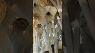 Sagrada Familia Basilica inside view [upl. by Elleuqar]