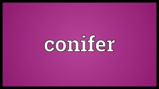 Conifer Meaning [upl. by Nasar]