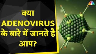 Adenovirus Symptoms क्या होता है Adenovirus कितना है खतरनाक  Consumer Adda  CNBC Awaaz [upl. by Delwin]