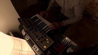 JUNGLE  BUSY EARNIN  synth bassline on Moog Sub Phatty [upl. by Nolahc833]