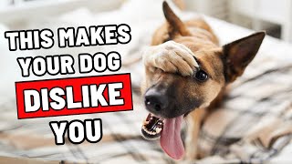 7 Dog Myths That Make Your Dog Dislike You Stop Before Its Too Late [upl. by Akimas]