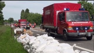 HochwasserschutzEinsatz der Feuerwehr Eltville  Feuerwehren bereiten sich vor  02062013 [upl. by Schwerin]