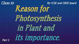 Photosynthesis for class 10 part 1 [upl. by Dumm]