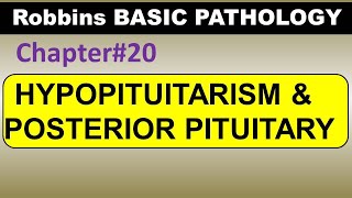 Ch20  Hypopituitarism  Posterior Pituitary Syndromes  Robbins Pathology  Dr Asif Lectures [upl. by Pierette641]