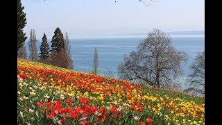 Places to see in  Konstanz  Germany  Isle of Mainau [upl. by Osi831]