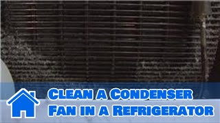 Home Improvement amp Maintenance  How to Clean a Condenser Fan in a Refrigerator [upl. by Ariek]