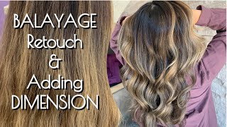 BALAYAGE  Retouch amp Adding Dimension Back Into Hair [upl. by Alleda]