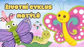 Životní cyklus MOTÝLA 🦋  Zábavné vzdělávací video pro děti  Zajímavosti o motýlech 🐛 🦋 [upl. by Farrington]