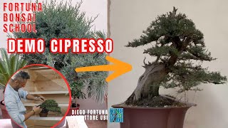 Demo Cipresso [upl. by Elyc]