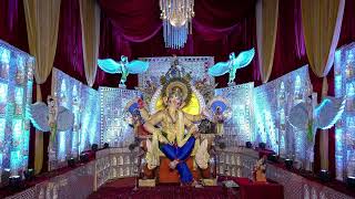 TARDEO CHA RAJA  LIVE DARSHAN  2024 [upl. by Kendricks]