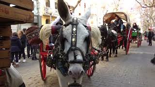 Igualada celebra 200 anys ininterromputs dels Tres Tombs [upl. by Nileve]