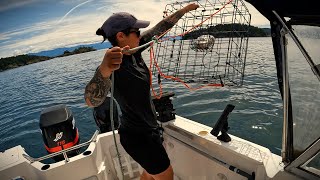 Afternoon Salmon Fishing  Crabs  Rockfish salmon crab fishing [upl. by Fidelas]