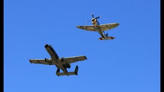 A10 and P47 Thunderbolts USAF Heritage Flight Central Coast Airfest Santa Maria CA Sep222024 [upl. by Gershon536]