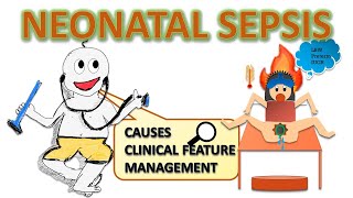 Neonatal sepsis risk factors septic screening  management etc NEONATOLOGY SERIES CH4 [upl. by Winikka]