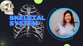 Skeletal System Part 1 [upl. by Friday891]