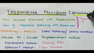 Treponema pallidum  Microbiology  Handwritten notes [upl. by Holmun686]