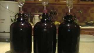 How to Make Wine from Grapes at Home [upl. by Rufe361]