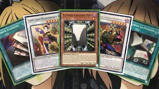 My Flower Cardian Yugioh Deck Profile for September 2020 [upl. by Selig404]