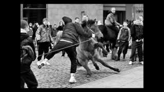 Smithfield Horsefair Dublin Ireland  gerry smith photography [upl. by Alohs368]