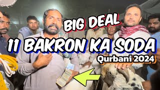 11 Bakron ki live deal  Kitne Ka soda bana  qurbani 2024 Shahpur kanjra Mandi Lahore [upl. by Ymmaj]