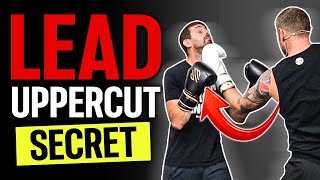 How to Throw Lead Uppercut in Boxing [upl. by Swartz]