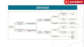 GASTROENTEROLOGÍA Disfagia  Estudios MYC [upl. by Bourgeois]