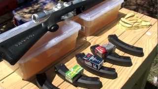 What is the most effective 22 LR round [upl. by Valentin]