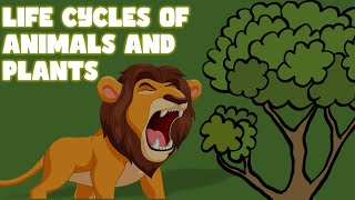 Life Cycle of Animals and Plants class4 generalscience [upl. by Inatsed]