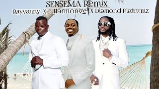 RAYVANNY FT HARMONIZE amp DIAMOND PLATNUMZ  SENSEMA Remix  OFFICIAL MUSIC VIDEO 2024 [upl. by Lenra]