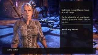 The Elder Scrolls Online Tamriel Unlimited Review [upl. by Annocahs]