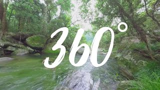 Mossman Gorge in 360° [upl. by Enelra]