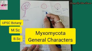 Myxomycota General Characters l Myxomycota l Biology By Neha Binwal 🌻 UPSC Botany l MSc l BSc l [upl. by Atsuj697]