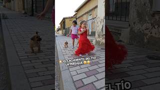 🐶EL CACHORRITO DEL TÍO LA PERSIGUE🤣🤣RUTH SHORTS cachorro risas naluchivlog [upl. by Naveb514]