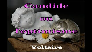 Voltaire  Candide ou loptimisme  chapitre 1 2 et 3  Livre Audio [upl. by Kcirej]