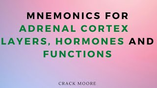 Adrenal Cortex Layers Hormones and functions adrenalgland medical mnemonics endocrinology [upl. by Neemsay119]